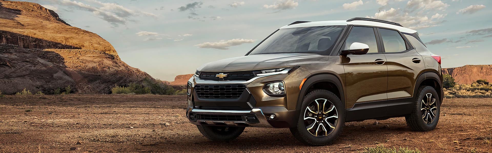 brown chevy trailblazer